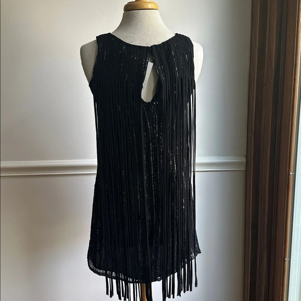 Parker Bryant dress fringe trim sequins silk size small black NWT - Picture 6 of 9